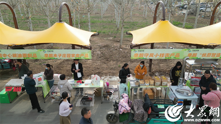 匠心傳承，共富同行 廣饒縣李鵲鎮“好品李鵲共富市集”上的麥秸畫藝術