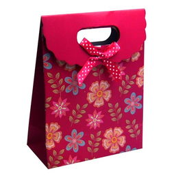 福州印刷 從豎版到橫版，探索手提袋制作的工藝與市場